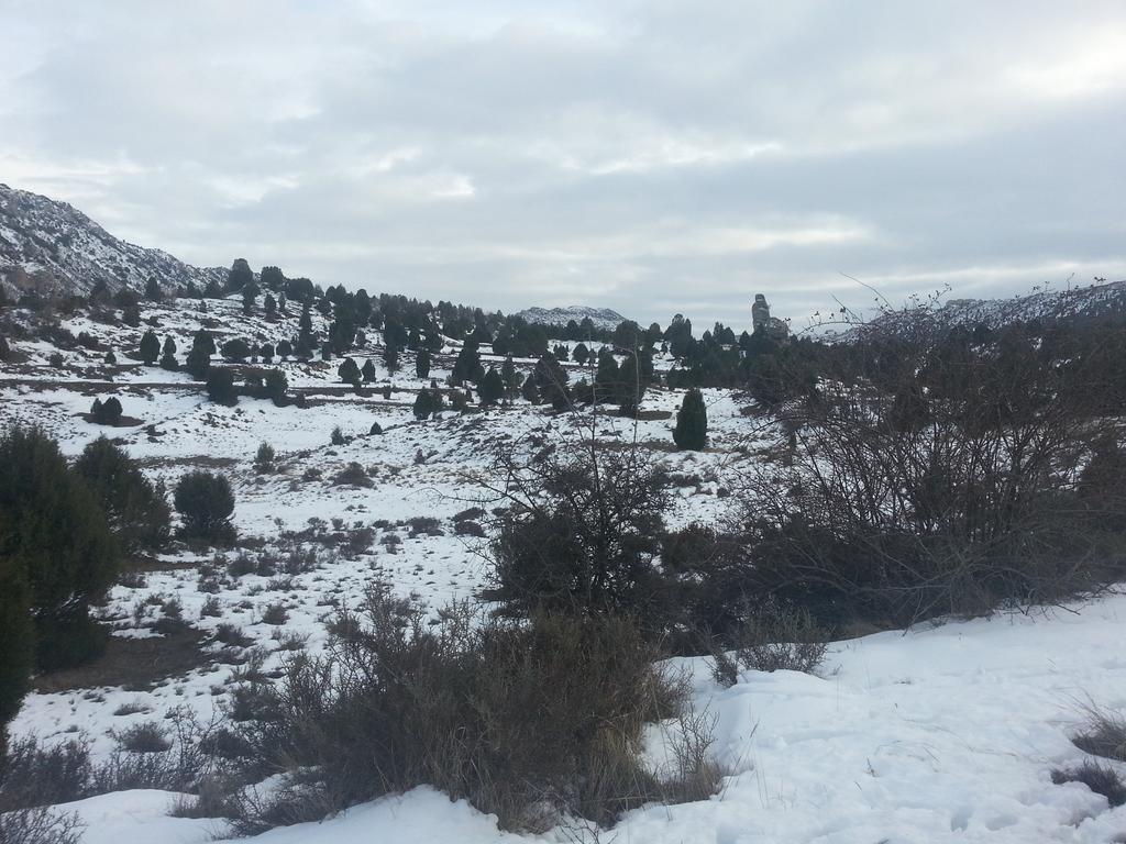 Hotel Rural El Horno De Aliaga エクステリア 写真